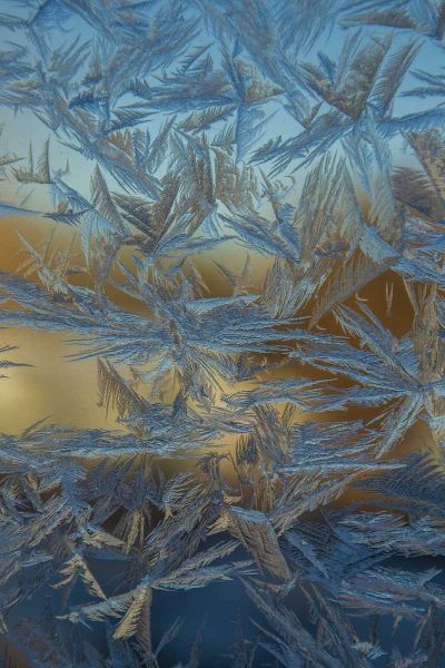 USA, Colorado, Denver Frost on a window